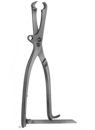 Bone Holding Forceps